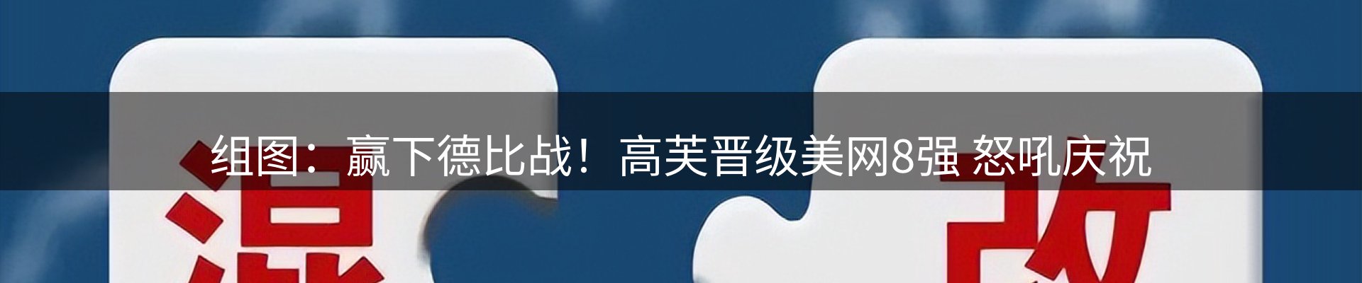 公司汇总